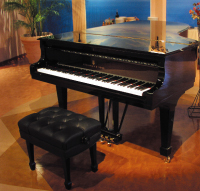 ピアノ ~ STEINWAY&SONS.